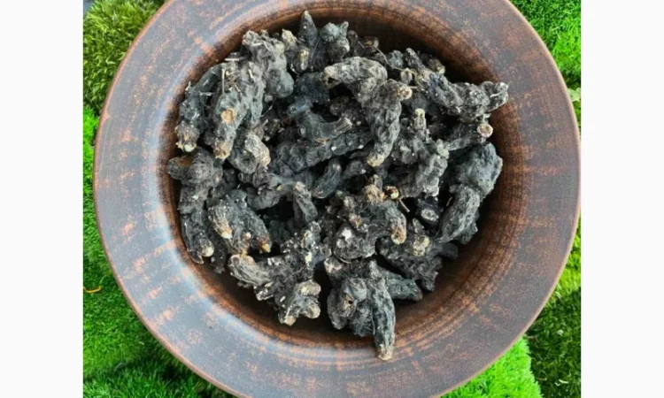 Продам сухий корінь калгана, корень лапчатки, калган - фото № 1