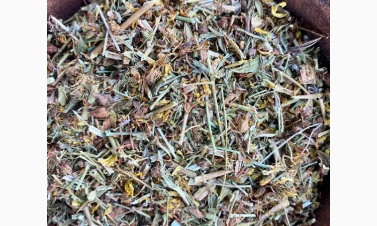 Продаю звіробій, зверобой - фото № 2