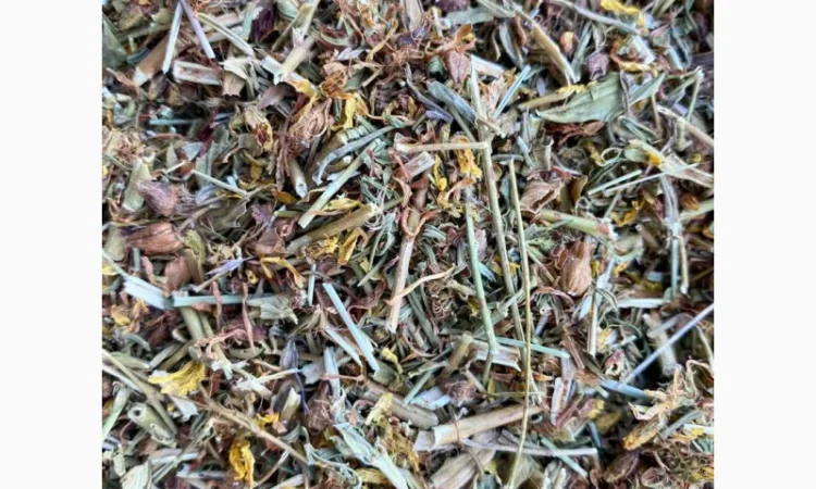 Продаю звіробій, зверобой - фото № 3