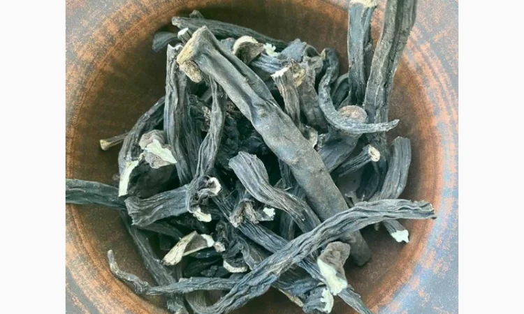 Продаю корінь живокіста, живокоста, живокост - фото № 2