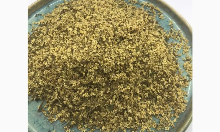 Цвіт бузини, цвет бузины, , бузина - фото № 2