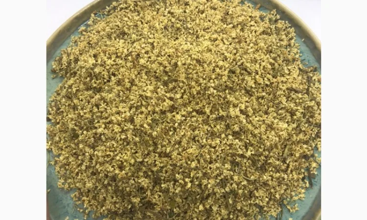 Цвіт бузини, цвет бузины, , бузина - фото № 3