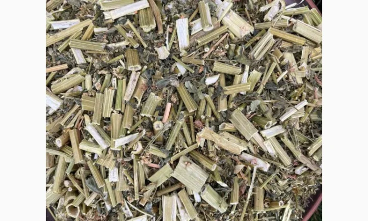 Буркун, донник, гуньба, сушений буркун - фото № 1