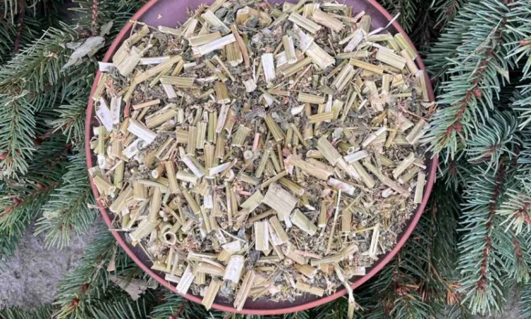 Буркун, донник, гуньба, сушений буркун - фото № 2