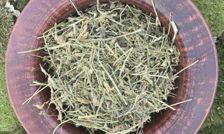 Грицики трава, сушені грицики, горобине око, дика гречка, калитник, мисочки, мішечки - фото № 1