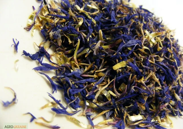 Васильки цвет сушеный - фото № 1