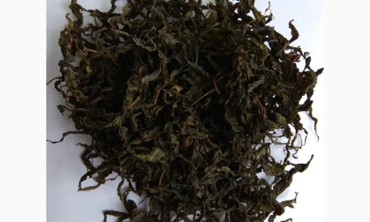 Иван-чай ферментированный - фото № 1