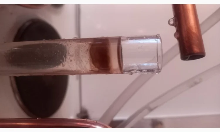 Гідролати хвойних рослин( ялівець, ялина, ялиця, сосна, кедраі та ін.)) - фото № 1