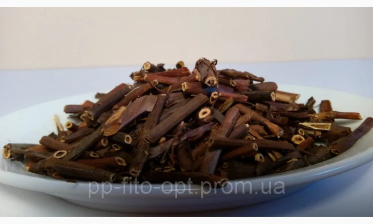 Сабельник болотный корень - фото № 1