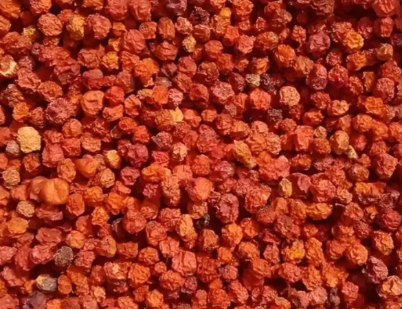 Куплю горобину червону сушену - фото № 1