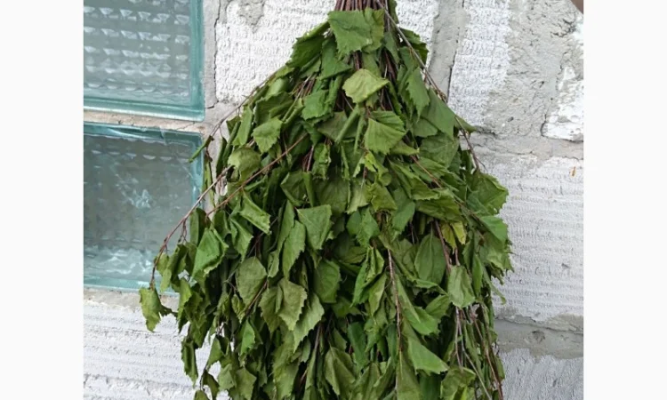 Продам банный веник - фото № 1