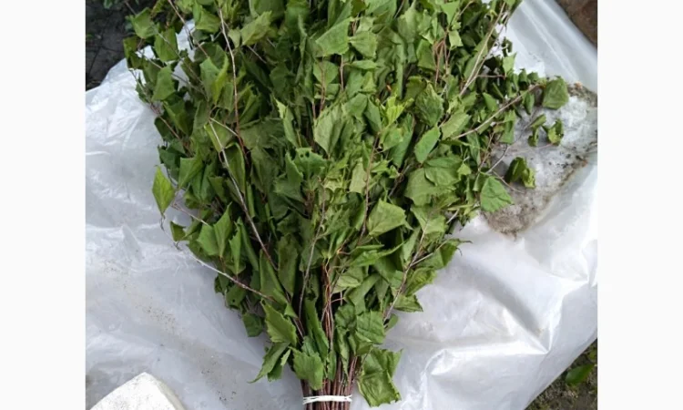 Продам банный веник - фото № 2