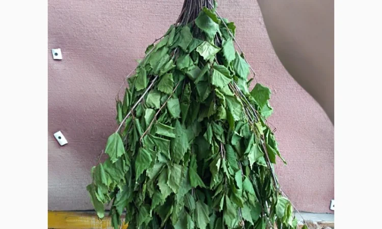 Продам банный веник - фото № 3