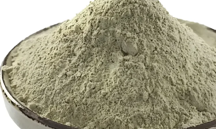 Продам бадягу (порошок) - фото № 1