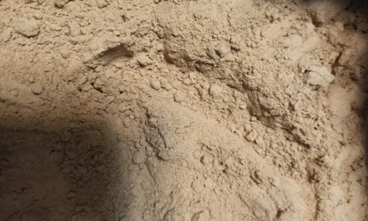 Мухомор мелений опт - фото № 2