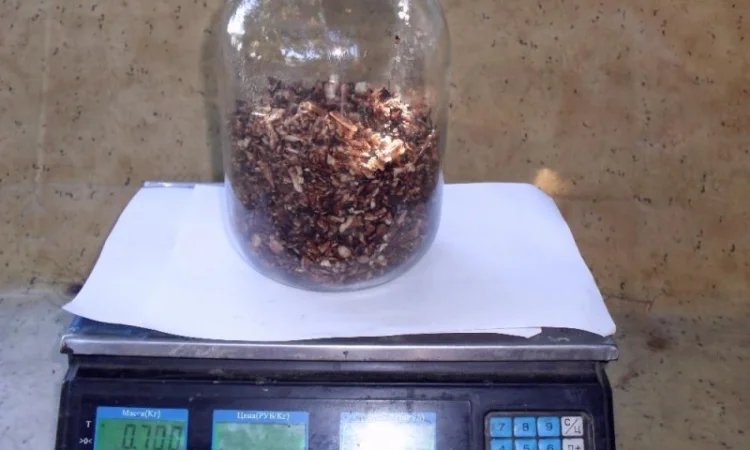 Корень живокоста - окопника, круглый год - фото № 3