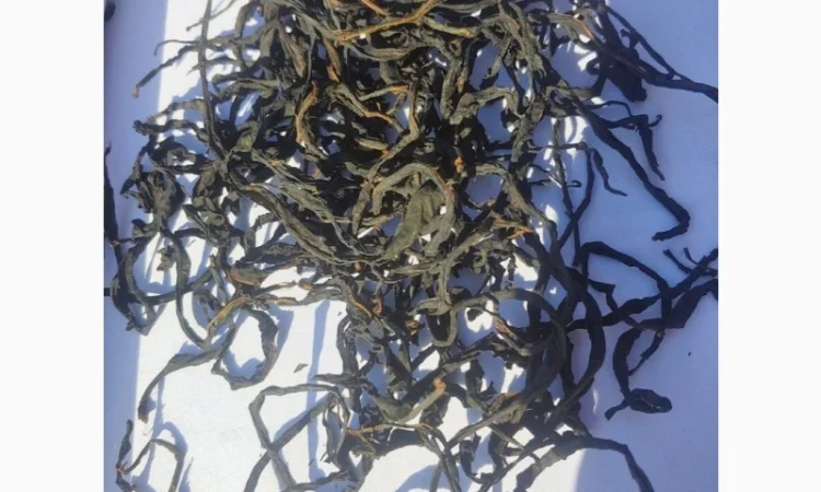 Іван Чай Ферментований - фото № 1