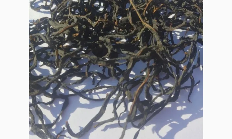 Іван Чай Ферментований - фото № 2