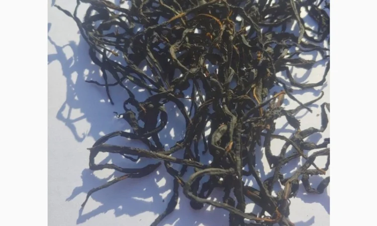 Іван Чай Ферментований - фото № 5