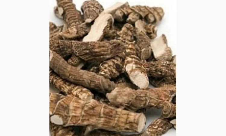 Закупаем корень аира, Алтея, калгана, живокость.сухой и мокрый - фото № 1