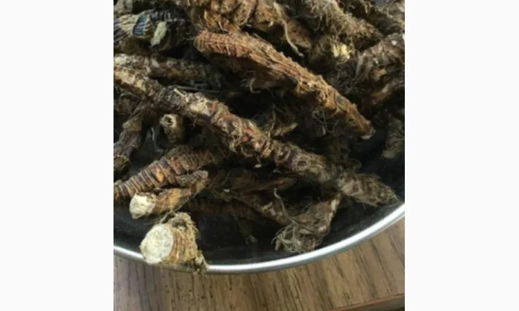 По Всей Украине.Закупаем Сухой корень Алтея, Аира и Калгана.Оплата наличными - фото № 1