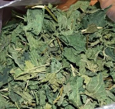 Куплю кропиву листя сушене - фото № 1