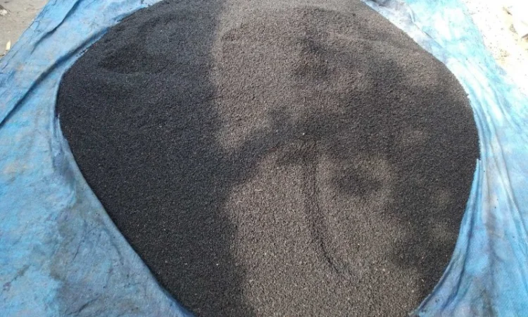 Закупаем поУкраине сухую ягоду бузины., цвет липы.Приежаем сами.Оплата нал - фото № 1