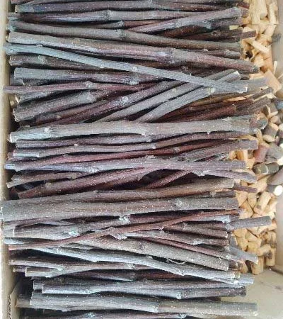 Гілочки палички яблуні сушені куплю - фото № 1