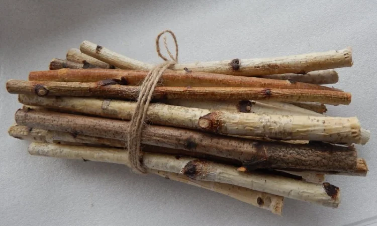 Верба, шовковиця гілочки сушені - фото № 1