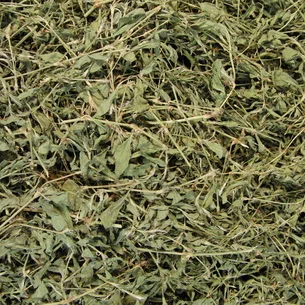 Спориш сушений - фото № 2