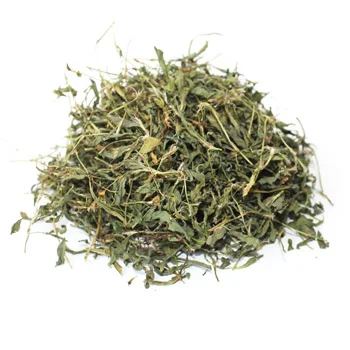 Спориш сушений - фото № 3