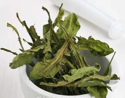 Кульбаба (одуванчик) листя сушене куплю - фото № 1