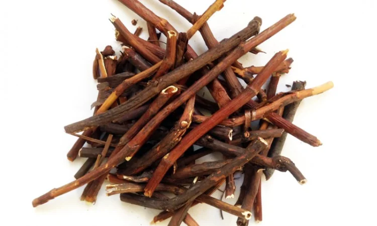 Сабельник болотний - фото № 1