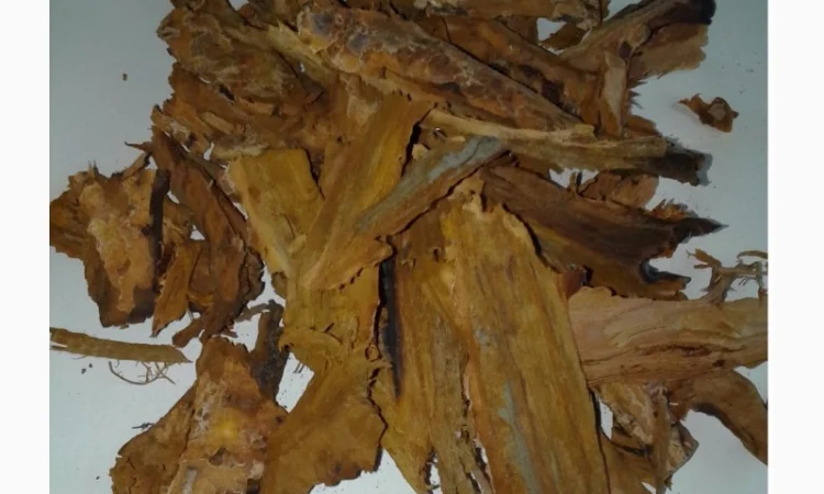 Кора усохшей вишни - помощь щитовидной железе - фото № 1