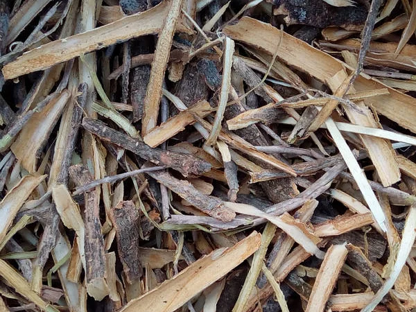 Кора калини суха - фото № 1