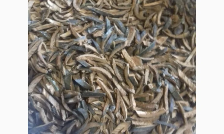 Продам суху кору дуба - фото № 1