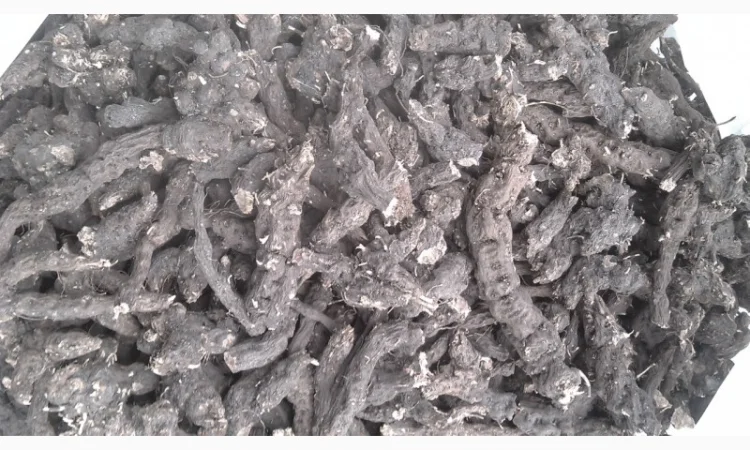 Продам калган - фото № 1