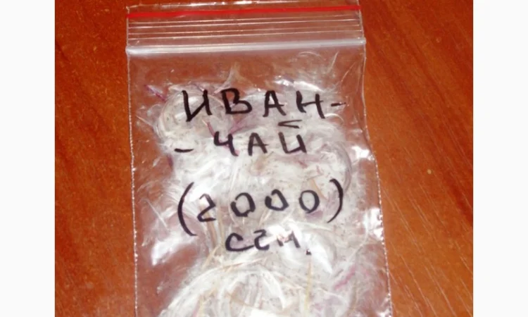 Иван-чай, ( кипрей узк.) корни. Акция - фото № 3