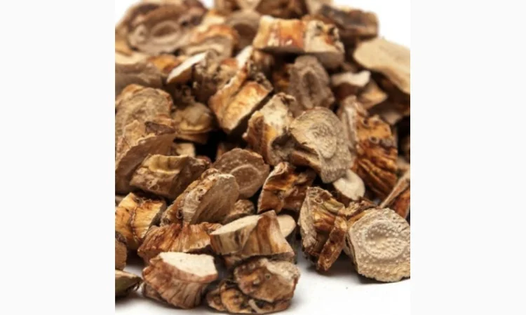 Куплю корень Аира, лопуха, кульбабы, калгана сухой и Алтея - фото № 1