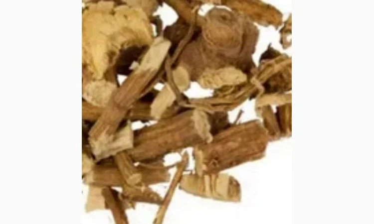 Закупаем корень валерьяны.аира, калгана, живокость, кульбабы, лопуха - фото № 1