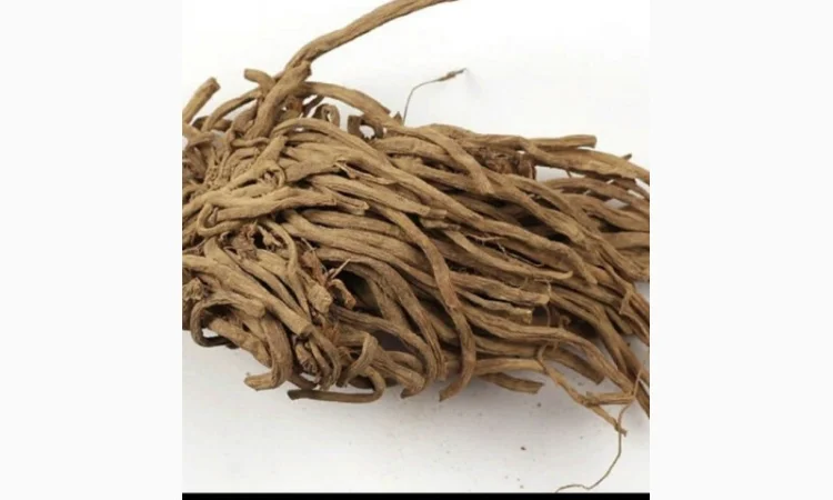 Закупаем корень валерьяны.аира, калгана, живокость, кульбабы, лопуха - фото № 2