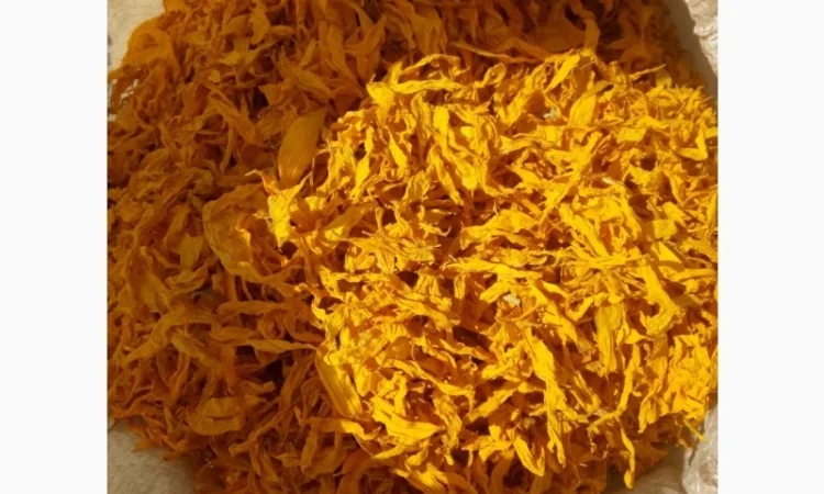 Закупаем лепесток подсолнуха.Оплата нал.Самовывоз - фото № 1