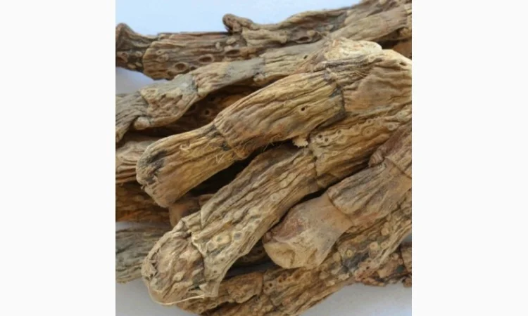 Куплю сухой корень кульбабы, лопуха, Аира, калгана, алтея - фото № 1