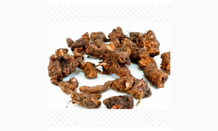 Закупаем сухой корень калгана, живокоста, девясила, Алтея и др.только качество - фото № 1