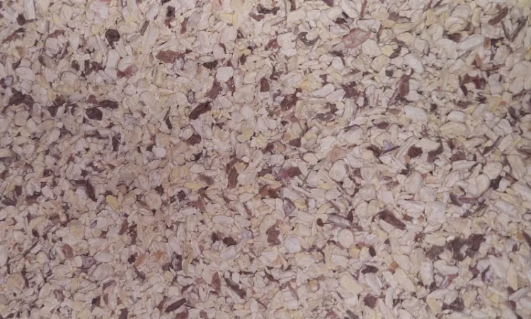 Продам корінь Мильнянки лікарської - фото № 1