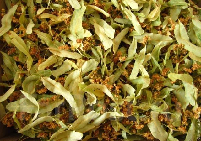 Закупаем цвет липы, бузины, боярышника в сухом виде - фото № 2