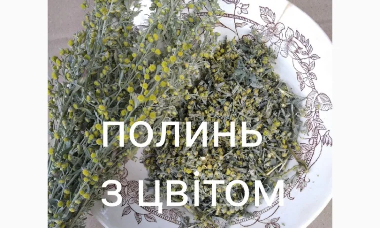 Полинь полинь - фото № 1