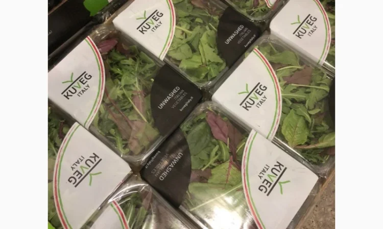 Зелень оптом. Ассортимент - фото № 1