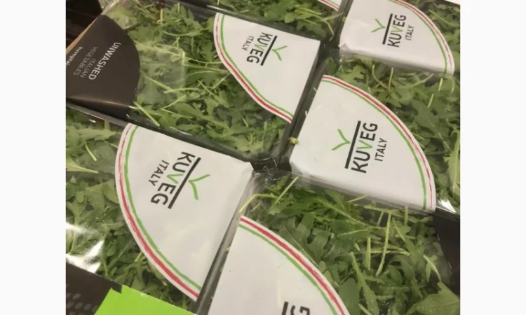 Зелень оптом. Ассортимент - фото № 2