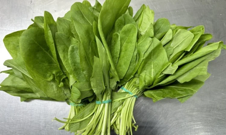 Свіжа зелень Салати Руккола Кінза та інше - фото № 6